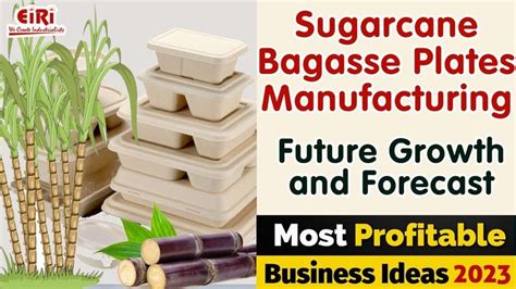 bagasse plates manufacturing machine|bagasse plates manufacturing process .